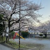 新年度の「ゆる育カフェ」スタート！～スタッフ一丸となって作戦会議～