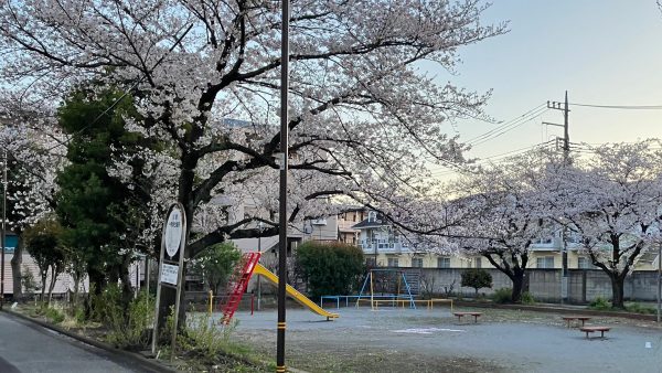 新年度の「ゆる育カフェ」スタート！～スタッフ一丸となって作戦会議～